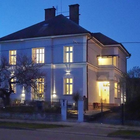 Vila Opočno Exteriör bild